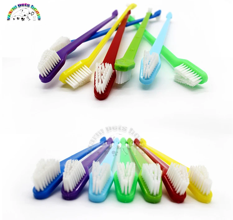 pet brush