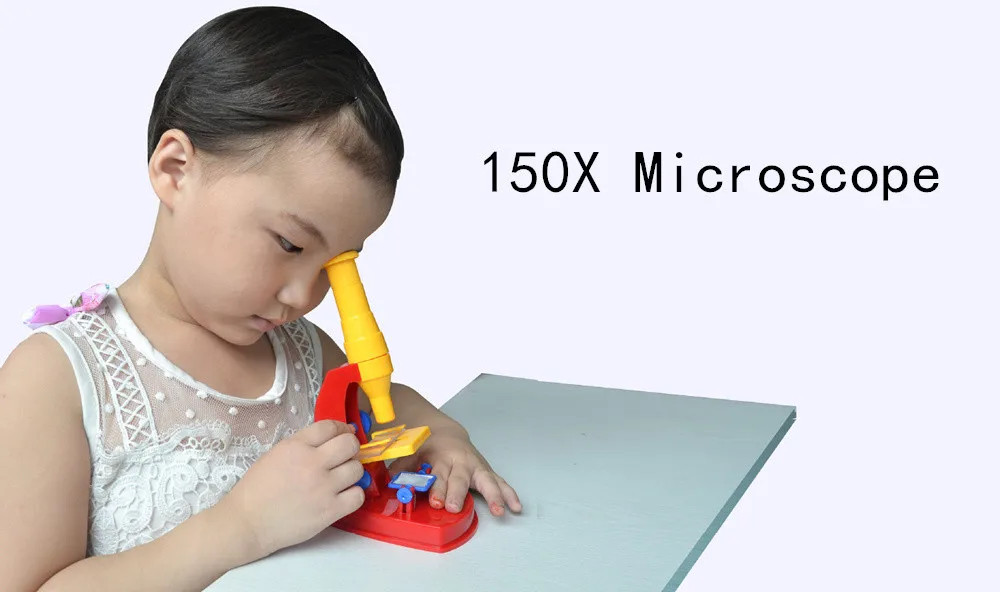 2303163395_1347942782