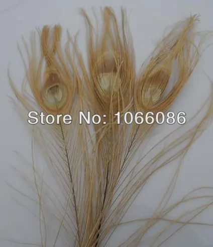 

Free Shipping! 50pcs/lot 25-30cm Beige color Big peacock Eye Top quality peacock feather natural peacock feathers plumes
