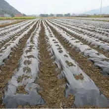 Черный цвет. 2x10 м 2 шелк, садовая полиэтиленовая пленка для теплицы, пластиковая мульча. Пластик для растений, овощей