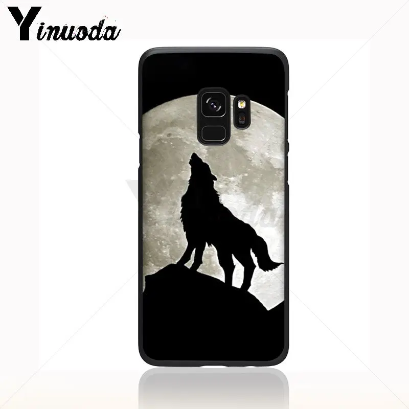 cool half Wolf face animal
