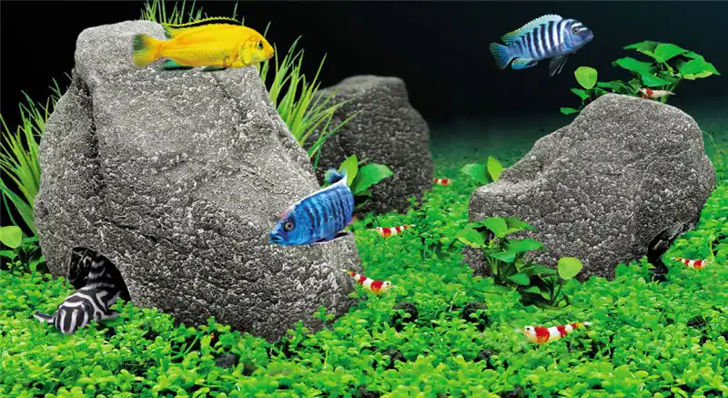Aquarium Fish Tank Decoration Cichlid Grain Stone Ornament