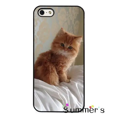 iphone 6 case ginger cat iphone 6 case ginger cat