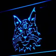 I989 с Мейн куном Китти Дисплей магазин Декор неоновый Световой значок кнопки вкл/выкл 20+ Цвета 5 размеров