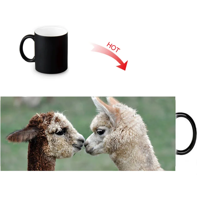 

12oz Llama Heat Reveal Magic Morph Mug Color Change Coffee Milk Tea Cup Customized Hot Sensitive Morphing Mugs