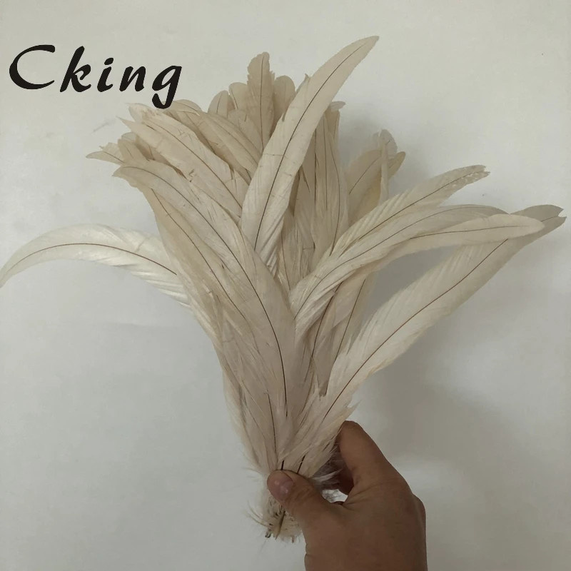 

100PC/Lot 8-10 Inch 20-25 CM White Rooster feathers OR Chicken feather Carinival Wedding Decoration Plumes Rooster Tails Pluma