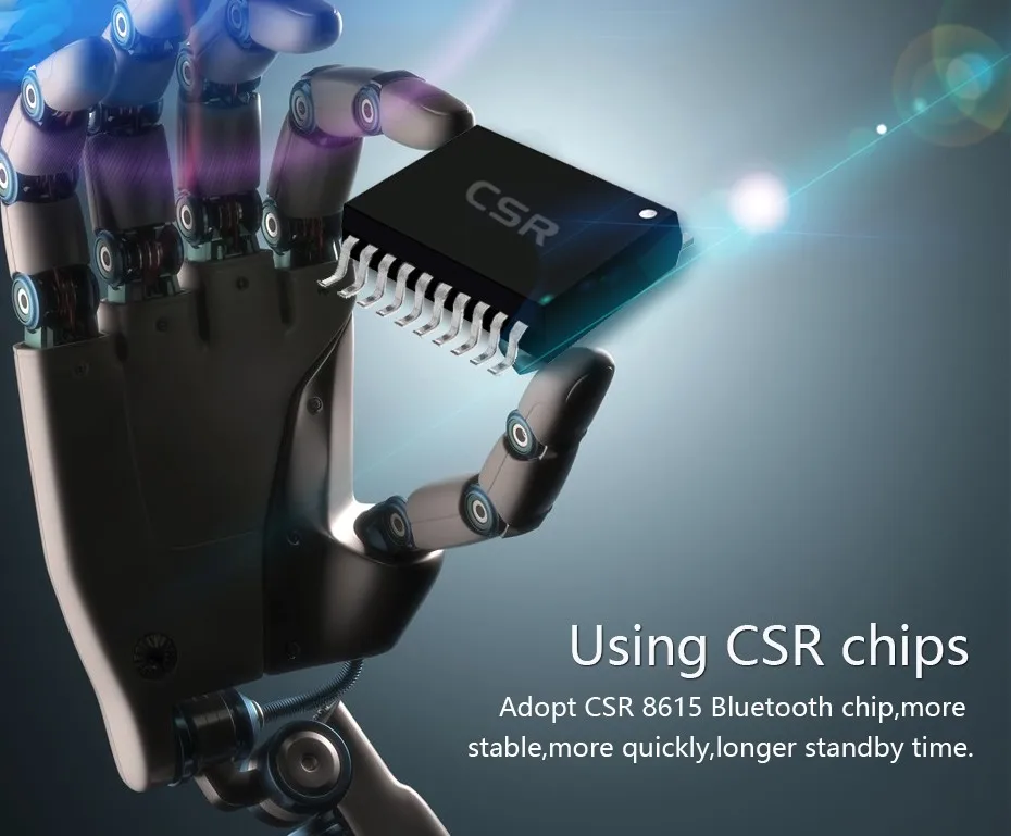 chip1