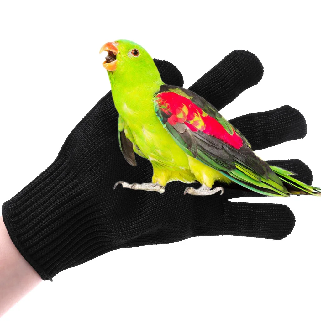 Перчатки против укусов для птиц, жевательные рабочие защитные перчатки для попугая, хомяка, подарок на Хэллоуин или Рождество