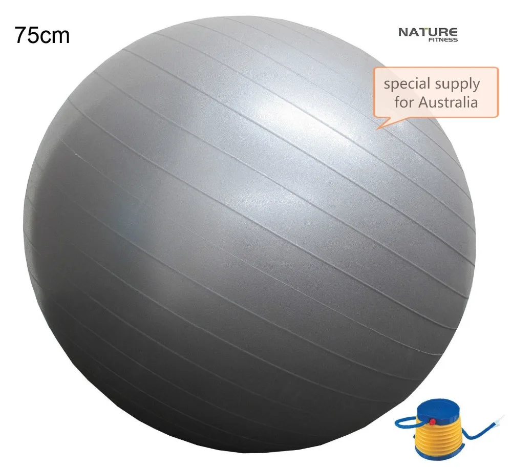75CM Home Exercise Workout Fitness Yoga Ball For Weight Lose Exercise