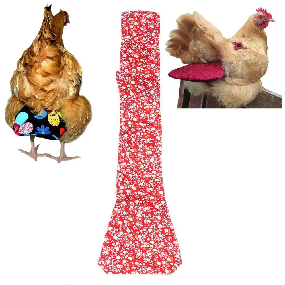 

AsyPets Pet Diaper for Chicken Duck Goose Random Color