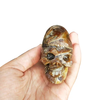 

Natural Pearly Nautilus Sculpture Skull Natural Quartz Skull mineral Exquisite carving perfect gift for home decoration