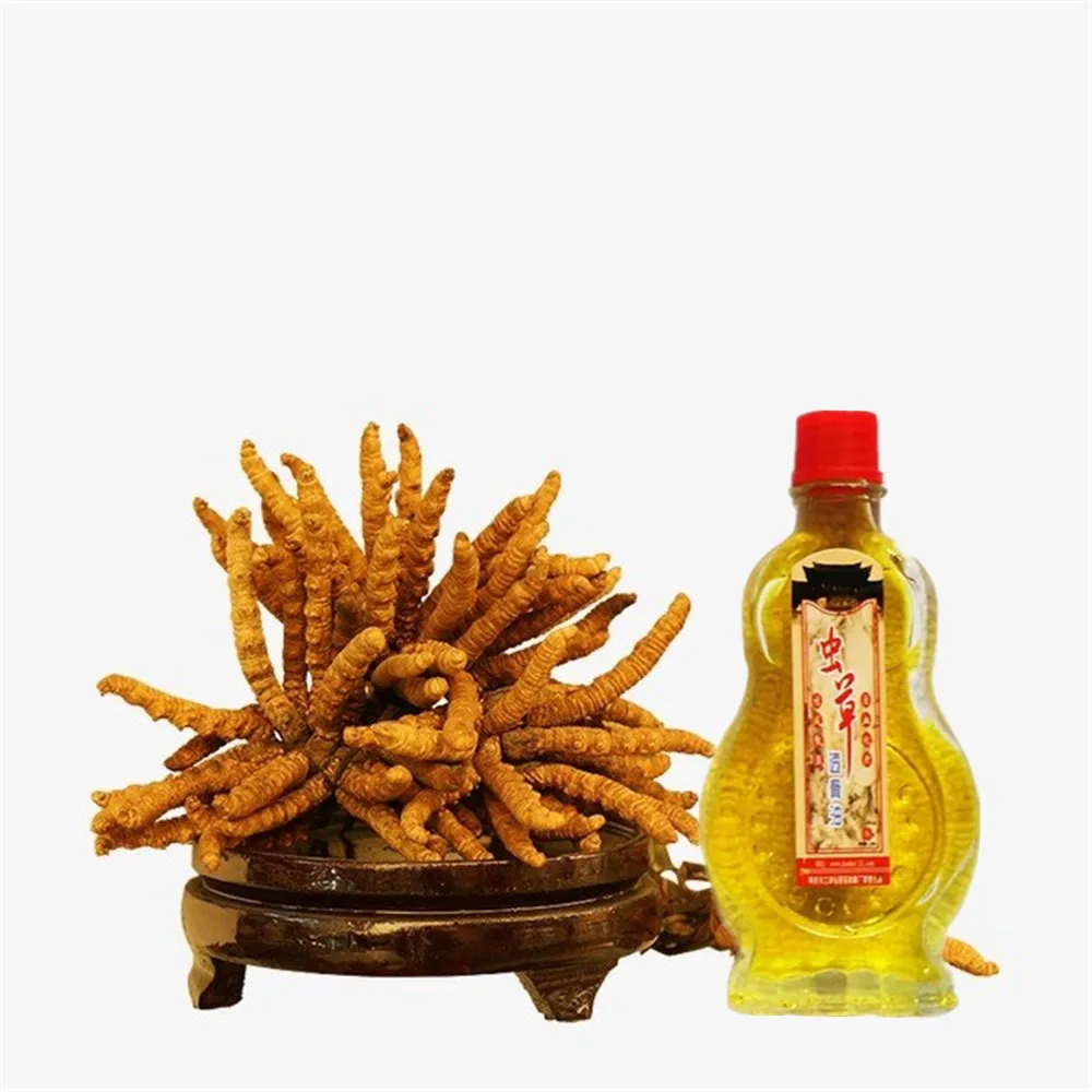 prostatitis cordyceps