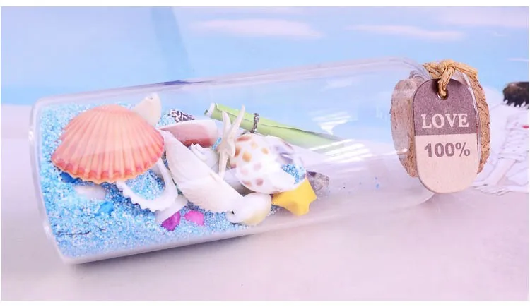 Natural Sea Shells08