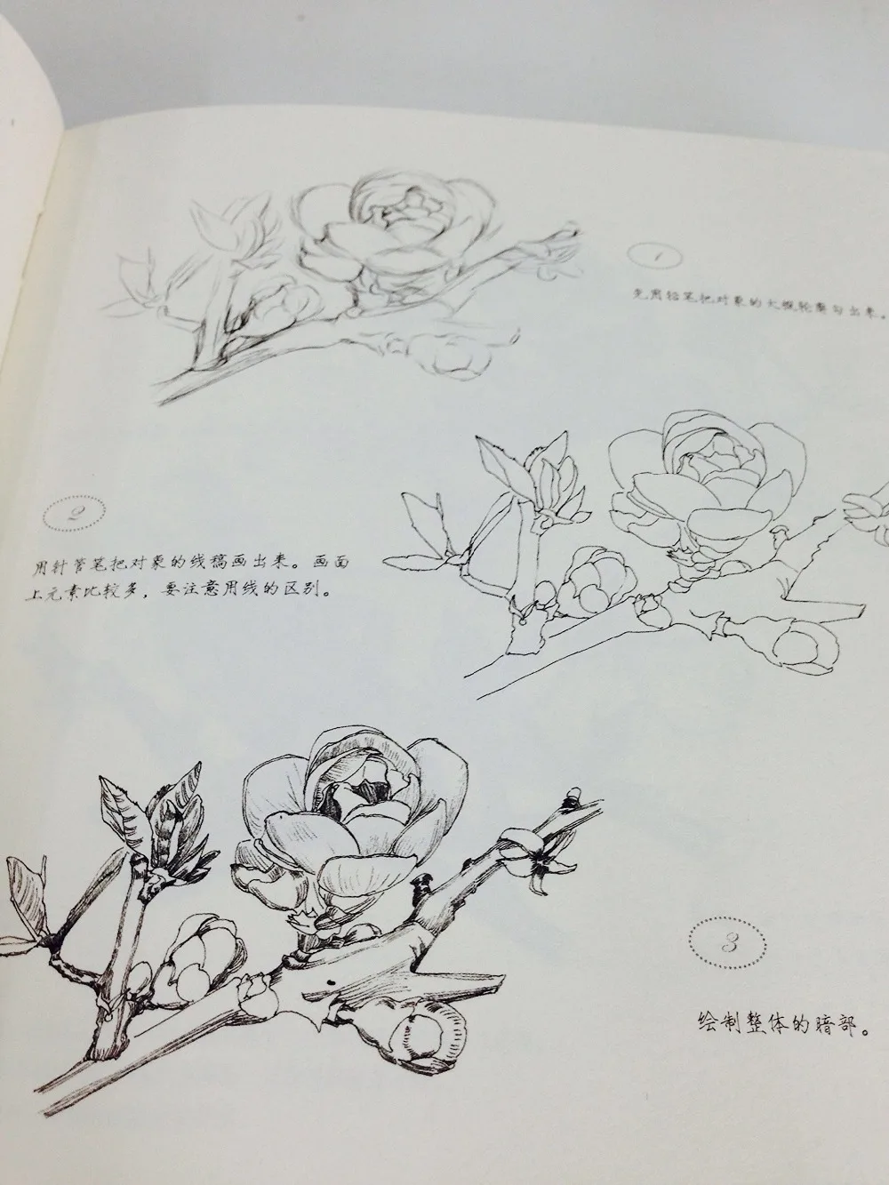 Gambar Garis Lukisan Cina Buku Menggambar Technigues Untuk 87 Gambar Garis Lukisan Cina Buku Menggambar Technigues Untuk 87