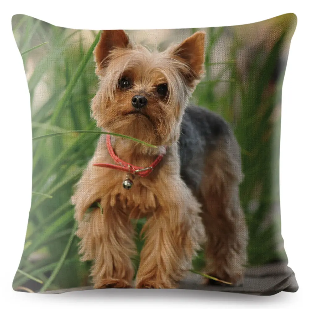 

Cute Animal Dog Pillow Cover Yorkshire Terrier Cushion Covers 45*45 Linen Pillow Case Car Sofa Home Decoration Square Pillowcase