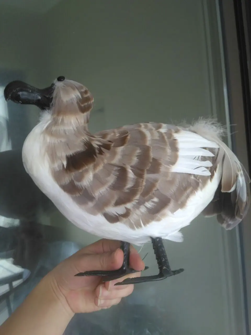 Пены и перья моделирование raphus cucullatus, 30 см серый перья Dodo птица образцовое изделие кустарного промысла для дома и сада украшения подарок p0400