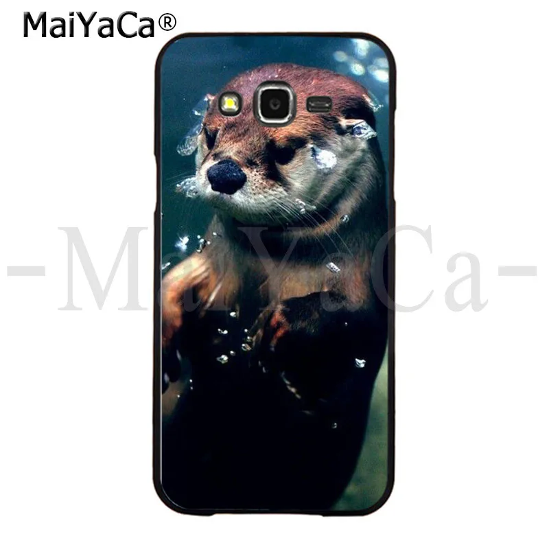 Animal otter