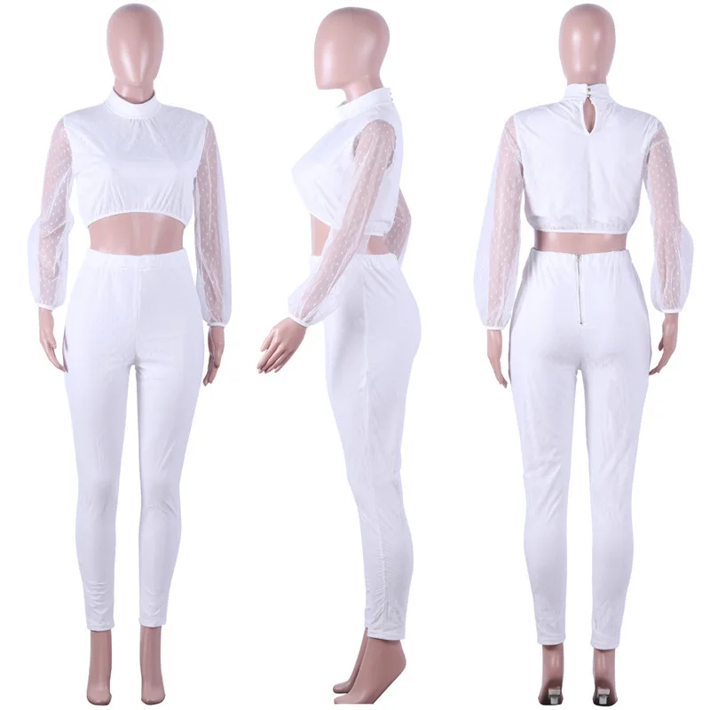 10514776245_389859551