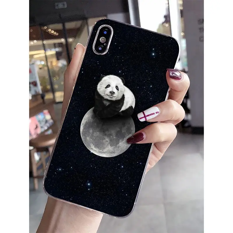 love funny panda