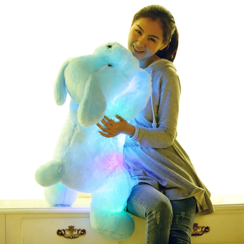 flash plus dog (9)