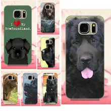 hülle iphone 6 neufundländer hülle iphone 6 neufundländer