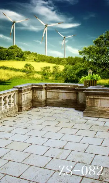 

3*5M Art Cloth Custom Photography Backdrops Prop Indoor and Outdoor Studio Background ZS-082