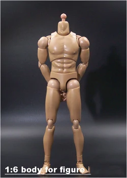 

1/6 Scale 12''Male Bodies with Movable Joints for 1/6 Modern Military Heads