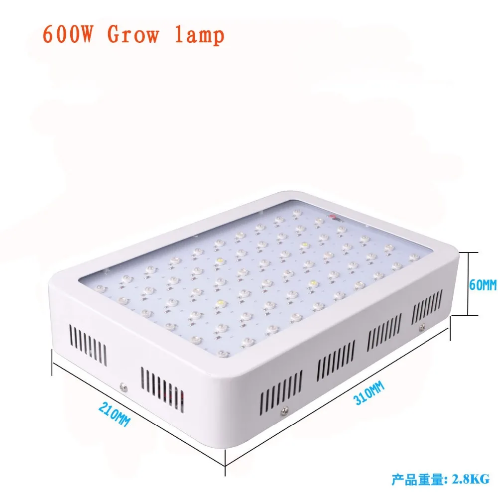 600W02