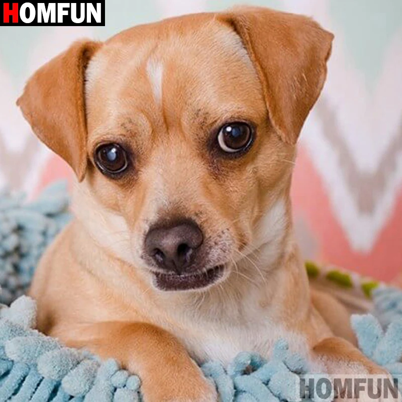 Алмазная живопись HOMFUN вышивка крестиком 5D животное собака домашний декор для