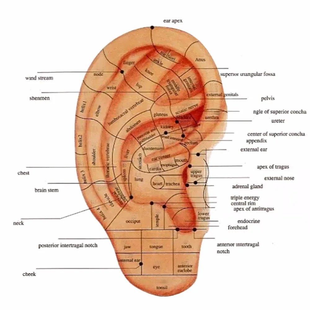 Ушной раковины точек детектор автоматическое обнаружение уха ручка Предупреждение звук точечный массаж терапия ухо аурикулотерапии точечный массаж прибор