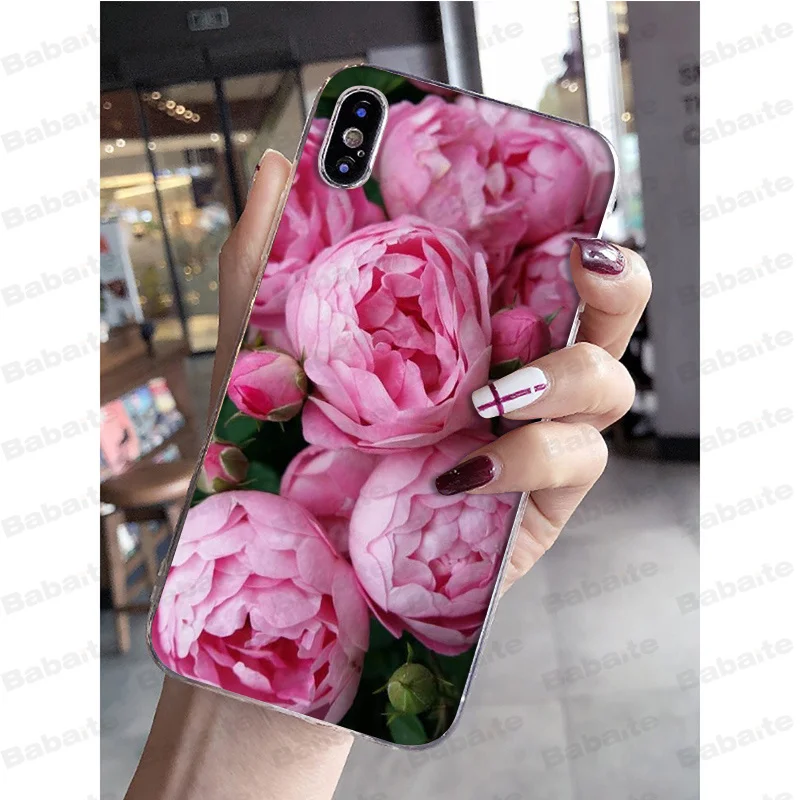 Pink Purple Peony