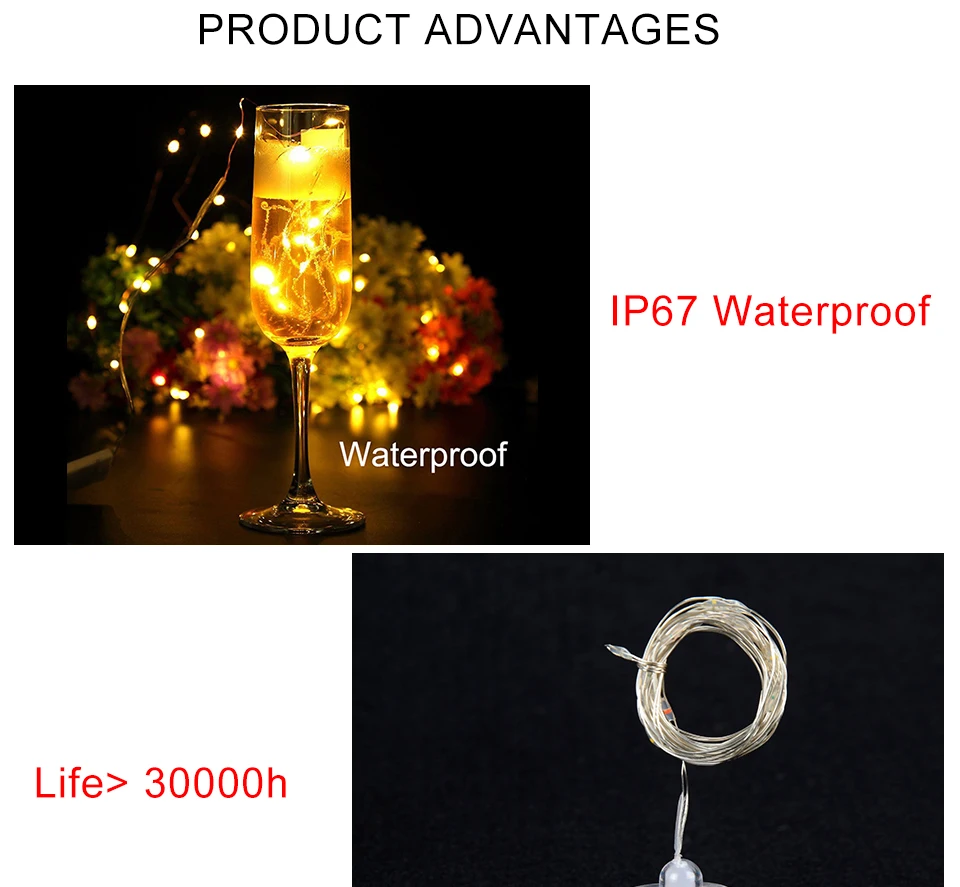 RGB LED Christmas string Lights (4)