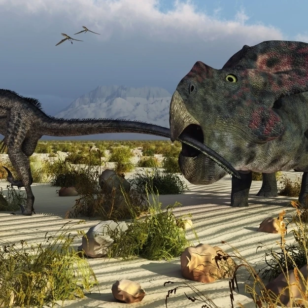 A Protoceratops biting the tail of an attacking Velociraptor Poster Print (18 x 11)
