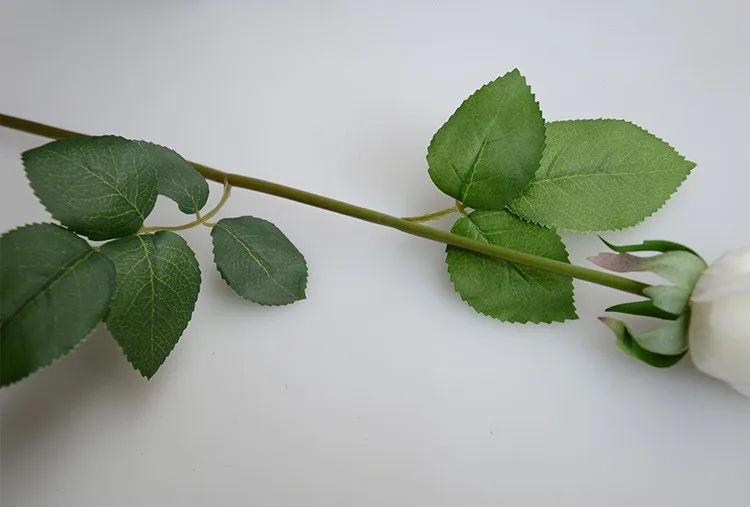 TB2E2BDbVXXXXXIXXXXXXXXXXXX-388928102