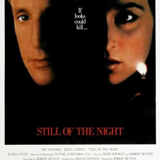 Still of the Night Movie Poster (11 x 17)