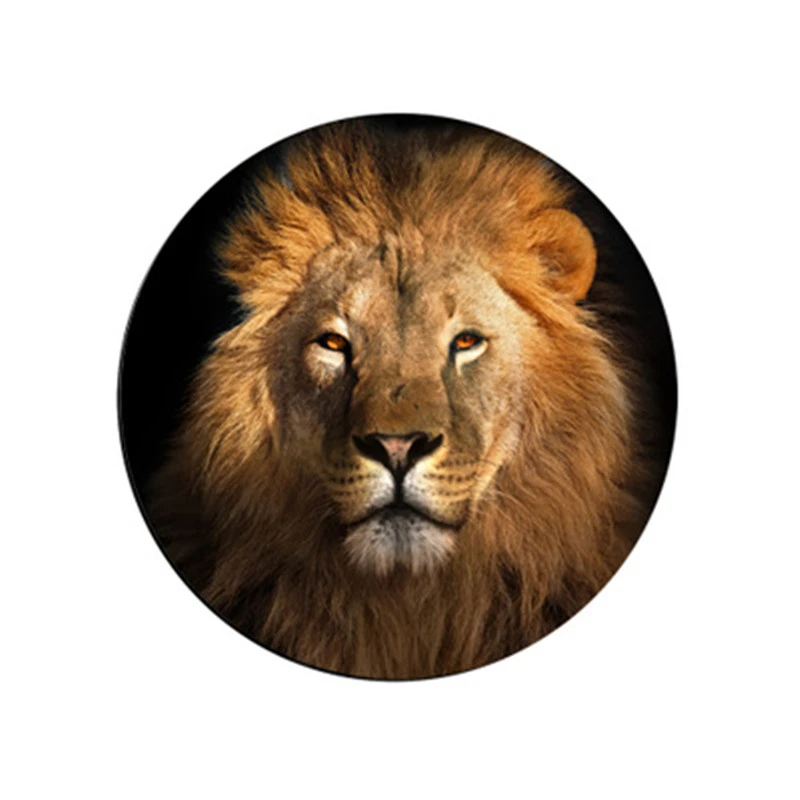 Get 3D Animals Lion View In 3D Pictures