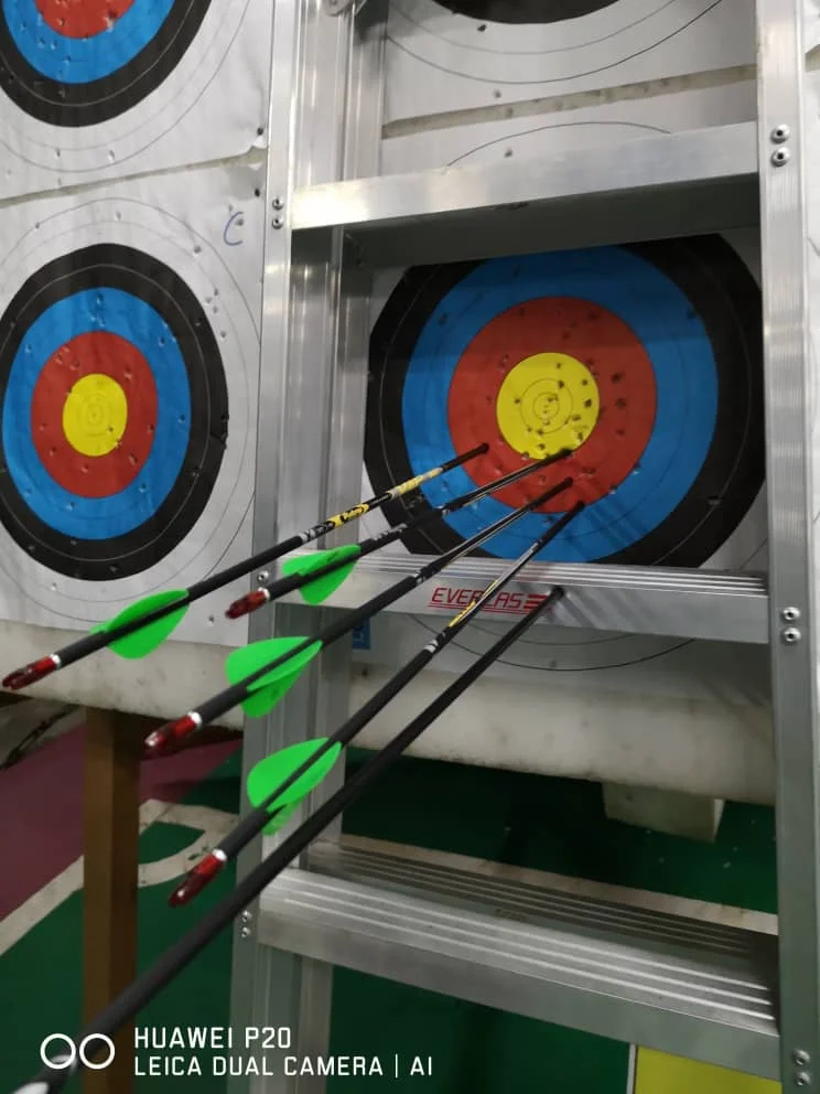 Flecha de Carbono Puro Eixo Espinha 600 700 800 Faça Você Mesmo Acessórios Seta Arco Recurvo Caça Tiro 6 Pçs Id4.2mm 4 Arco e flecha