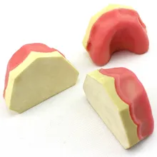 

Dental implant simulation mandible with dental implant dental training