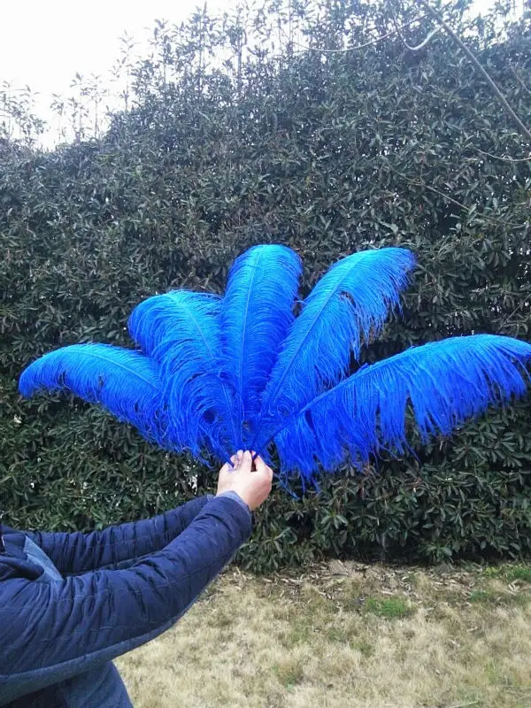 

wholesale! 50pcs High Quality Hard Rod sapphire Ostrich Feather 24-26 in / 60-65cm, Natural Feather Ornament Decoration