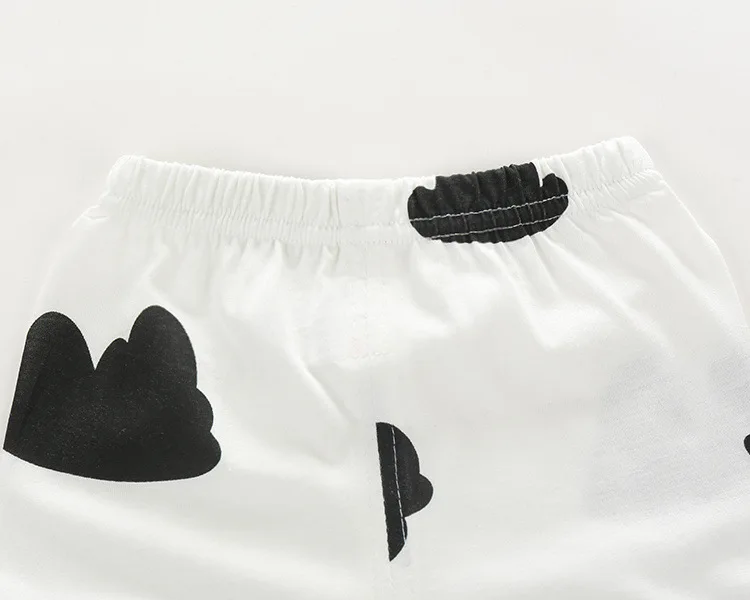 2916725428_2068599042