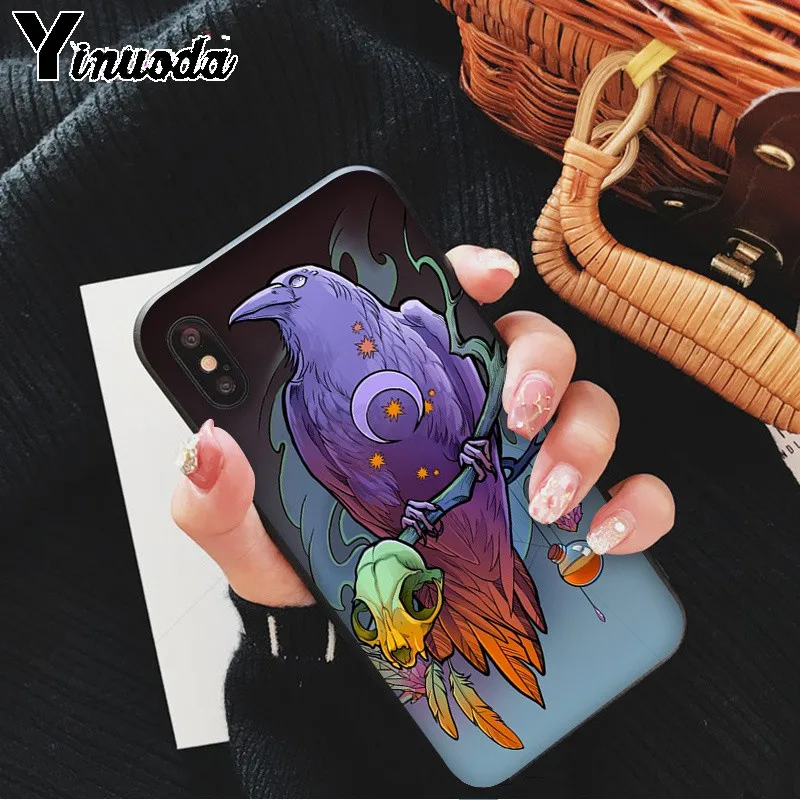 Crow sat on the skull and raven on a moonlight