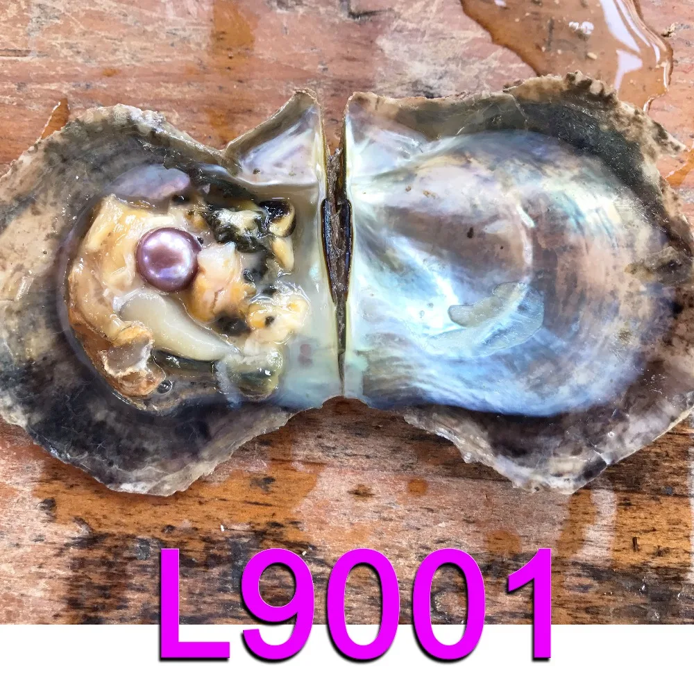 L9001 AA