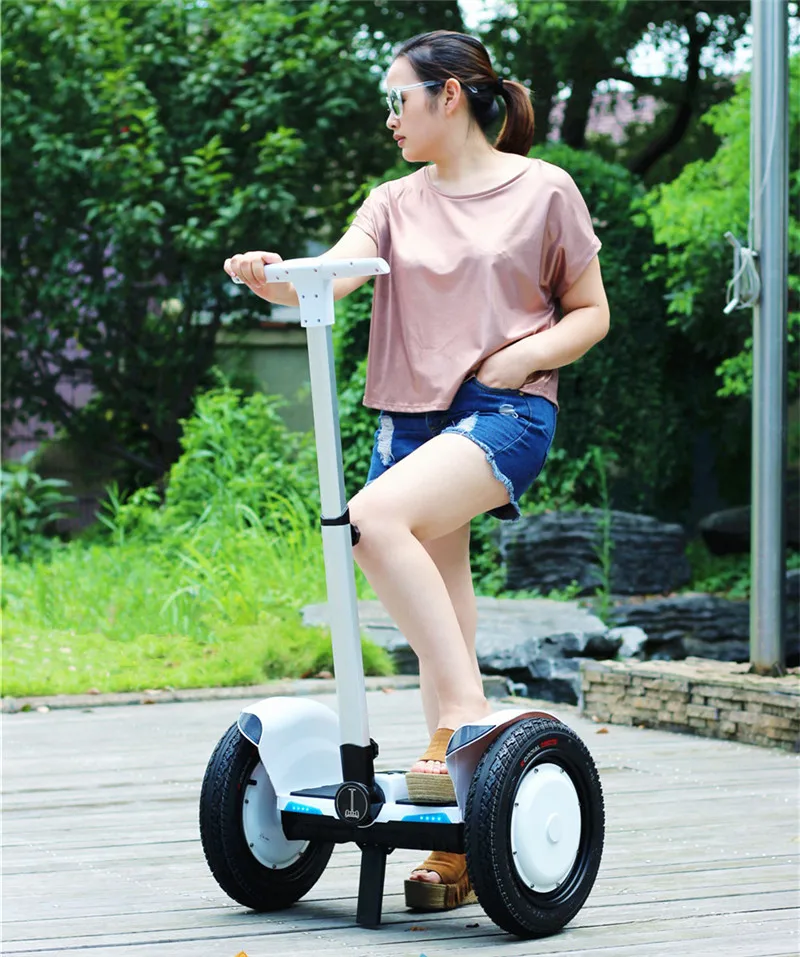 Daibot Off Road Electric Scooter Self Balancing Scooters 15 Inch 36V 700W Electric Hoverboard Scooters For Adult With Bluetooth Daibot Off Road Electric Scooter Self Balancing Scooters 15 Inch 36V 700W Electric Hoverboard Scooters For Adult With Bluetooth