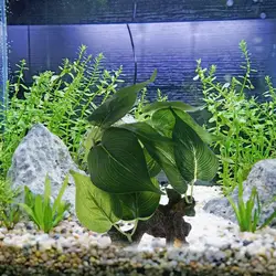 Ootdty аквариум украшения водных растений дерево Fish Tank орнамент искусственная имитация