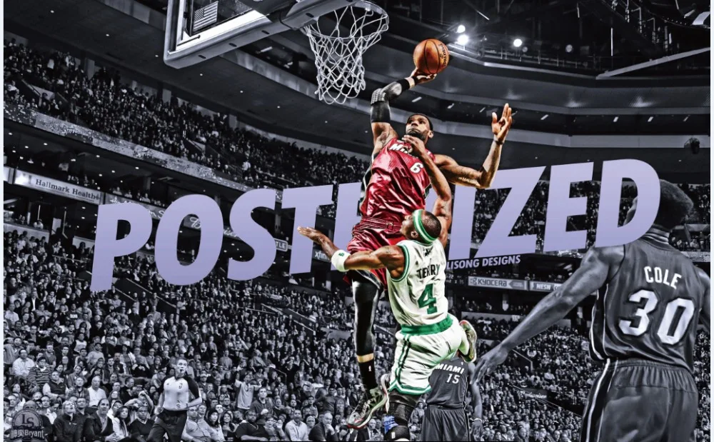 Lebron jason terry poster Outlet