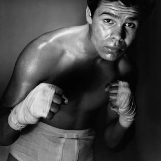 Young adult man in a fighting stance Poster Print (24 x 36)