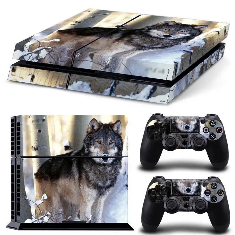 TN-PS4-0063