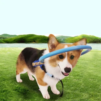 

Blind Dog Anti-collision Ring Guide Dogs Protection Circle Harness Animal Home Travel Prevent Collide Wall Accidents Accessories