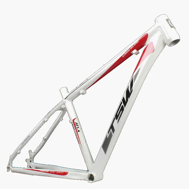 aluminum 29er frame