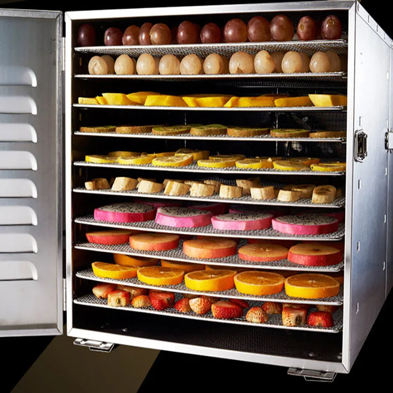 Household 10 Tray stainless steel food drying machine Fruits and